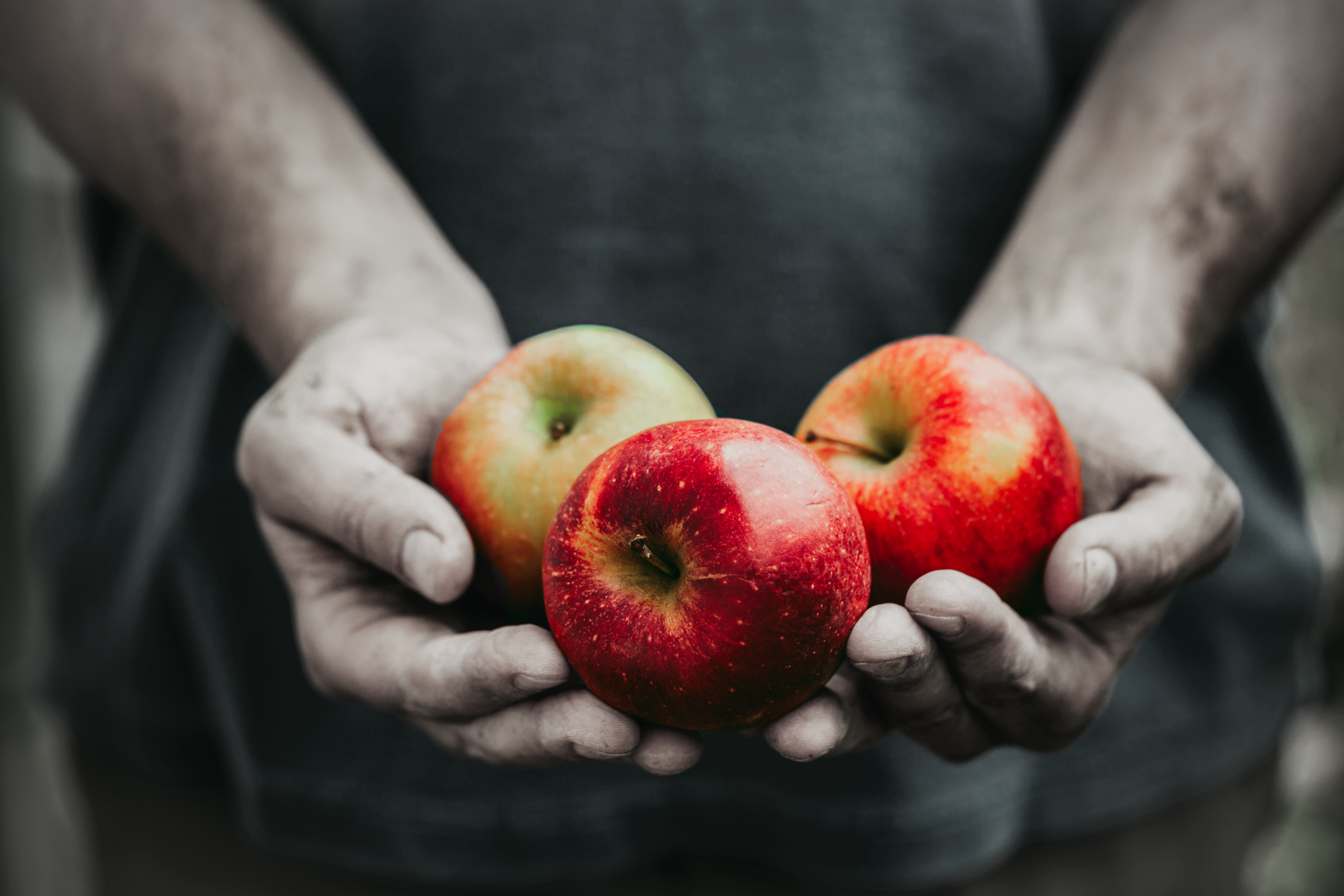 apples